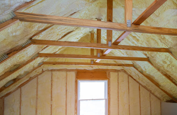 Best Blown-in Insulation  in Clovis, CA