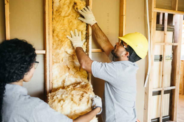 Best Crawl Space Insulation  in Clovis, CA