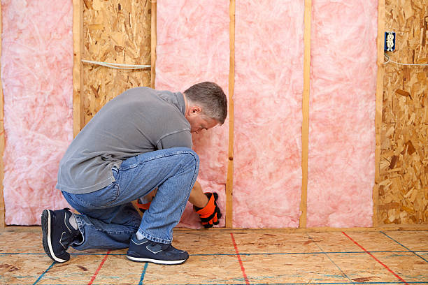 Insulation Replacement Services in Clovis, CA
